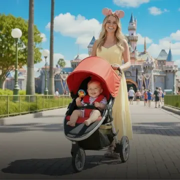 Browse Stroller Rentals